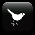 Get Twitter Followers Fast